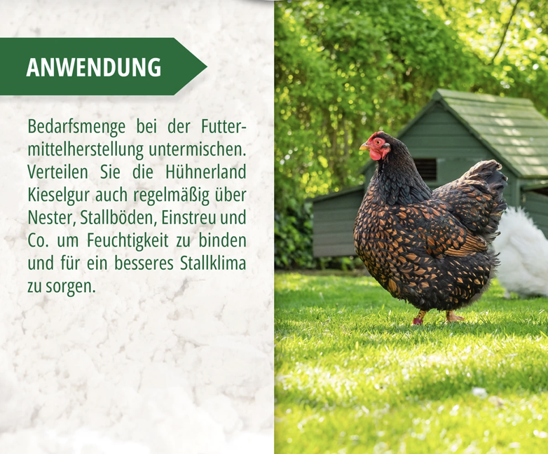 Screenshot 2026-02-05 at 14.43.34